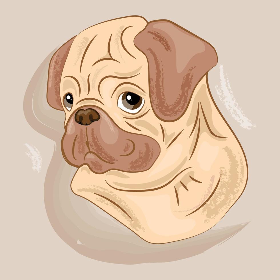 Pug dog animal cute face. Vector funny happy doggy head portrait. Realistic fur portrait of wrinkly pug puppy isolated on beige background.