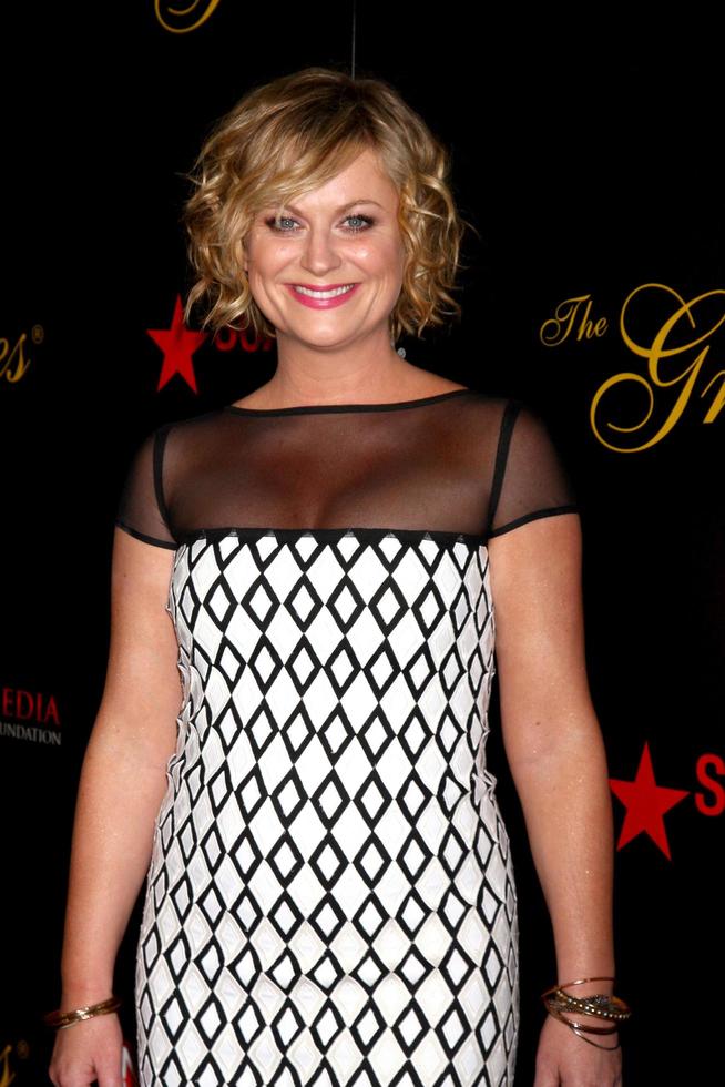 LOS ANGELES - MAY 21 - Amy Poehler arrives at the 38th Annual Gracie Awards Gala at the Beverly Hilton Hotel on May 21, 2013 in Beverly Hills, CA photo