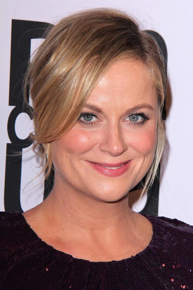 LOS ANGELES - NOV 11 - Amy Poehler at the PEN Center USA 24th Annual Literary Awards at the Beverly Wilshire Hotel on November 11, 2014 in Beverly Hills, CA photo