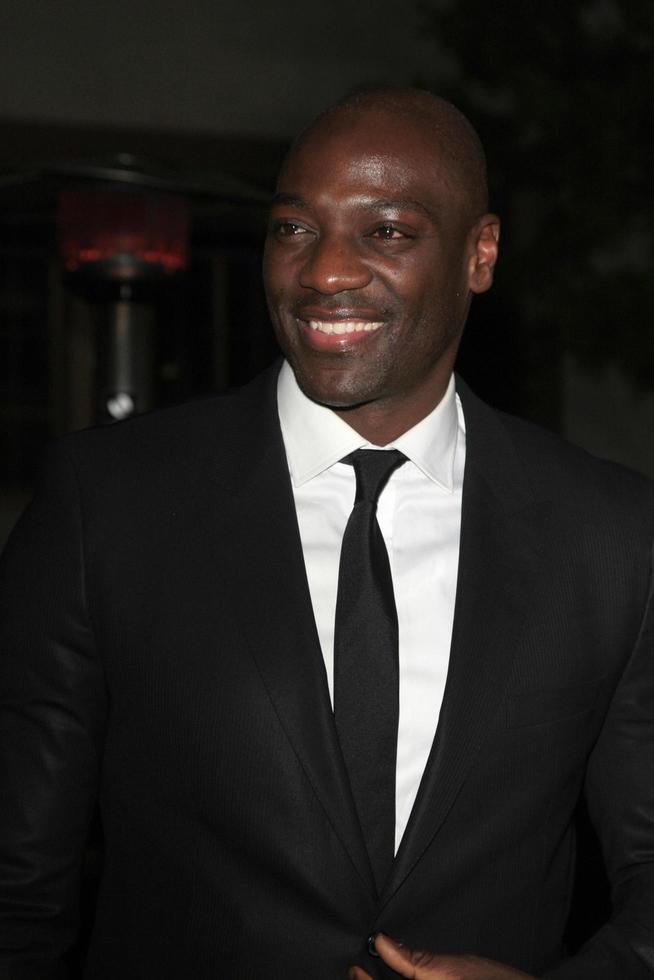 LOS ANGELES - FEB 15 - Adewale Akinnuoye-Agbaje at the Make-Up Artists And Hair Stylists Guild Awards 2014 at the Paramount Theater on February 15, 2014 in Los Angeles, CA photo