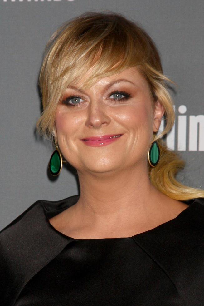LOS ANGELES - FEB 19 - Amy Poehler arrives at the 15th Annual Costume Designers Guild Awards at the Beverly HIlton Hotel on February 19, 2013 in Beverly Hills, CA photo