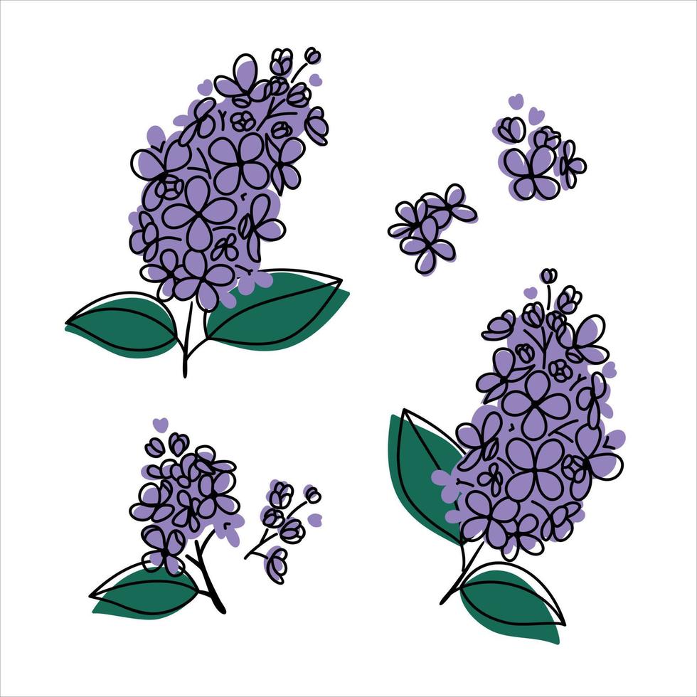 Lilac flowers abstract. Isolated vector elements.