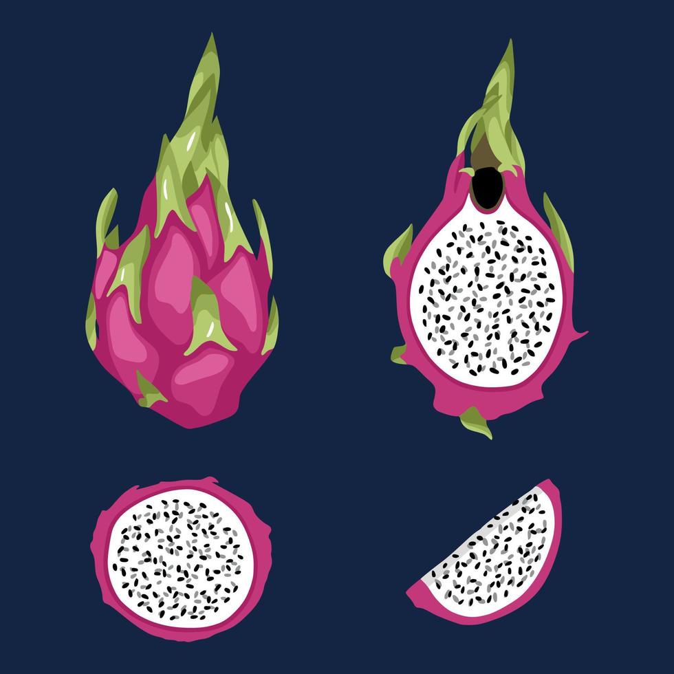 Ilustración de vector de elementos de pitaya de fruta de dragón