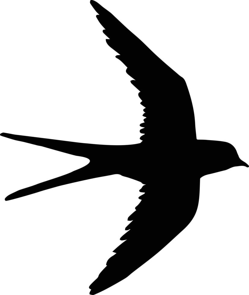 silueta de golondrina vectorial vector