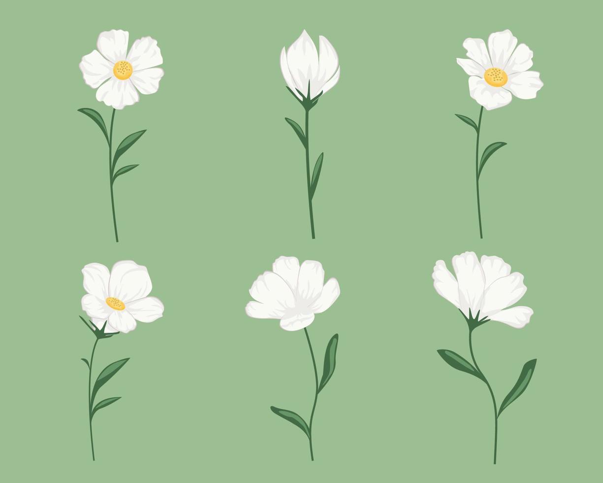 ilustraciones de conjuntos de flores. vector