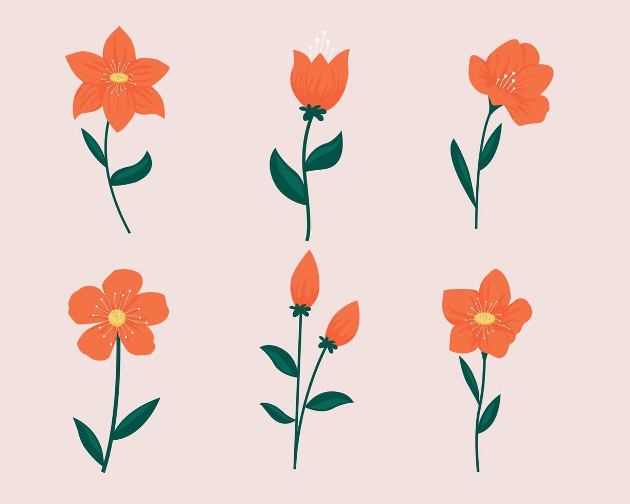 Flower Set Illustrations. vector