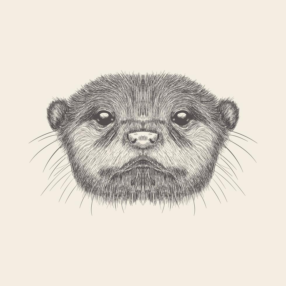 Trendy Aquatic Otter vector