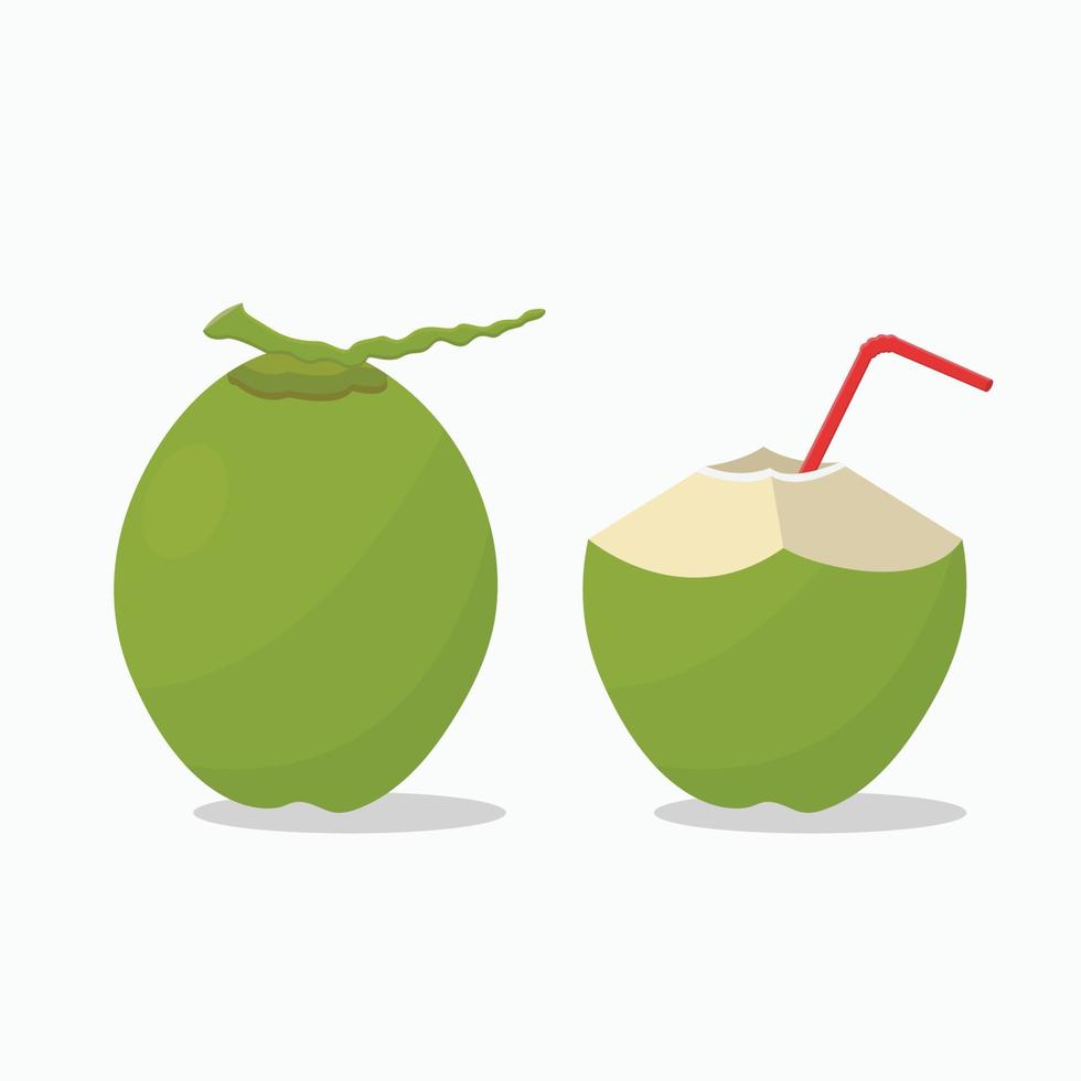 Green coconut whole and slice with straw vector illustration