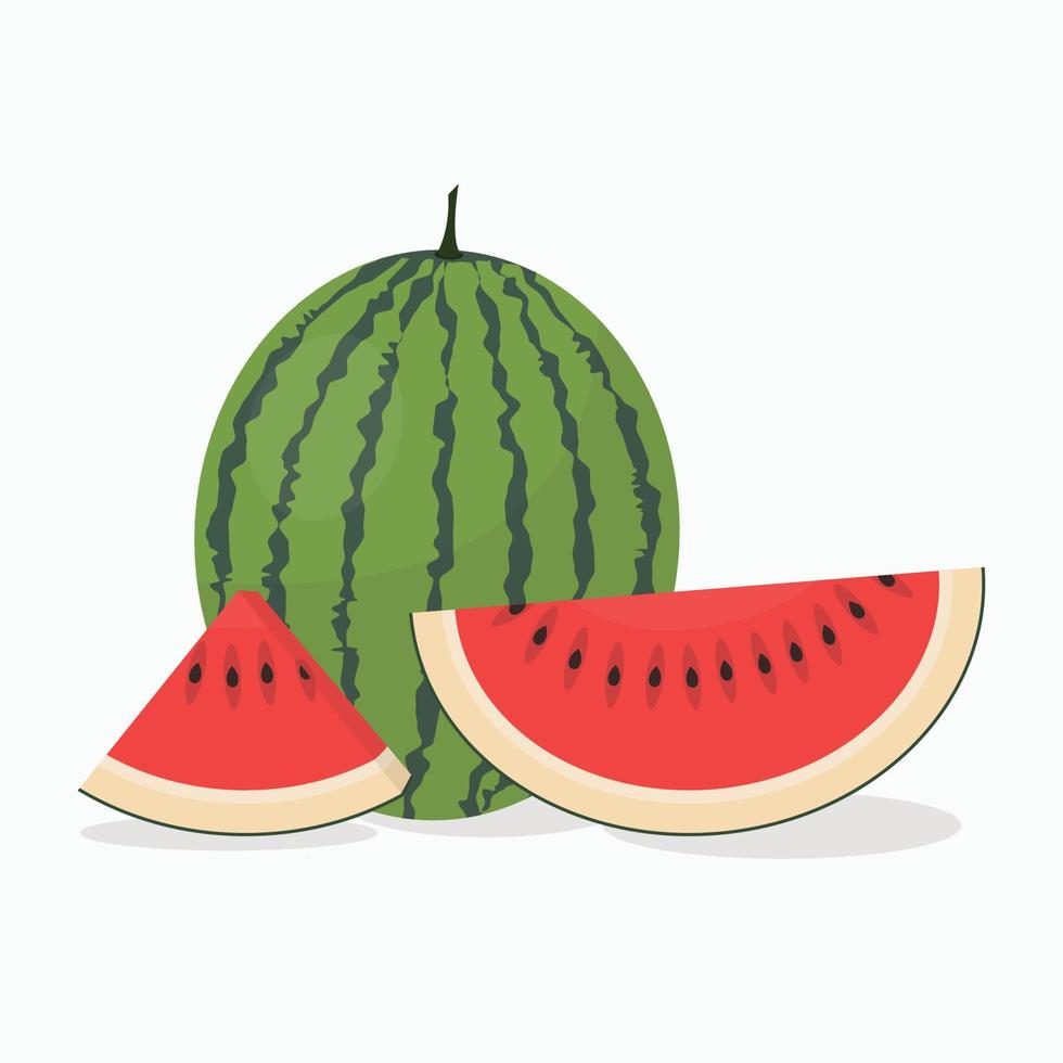 Whole and slice watermelon vector illustration, Fresh watermelon fruit