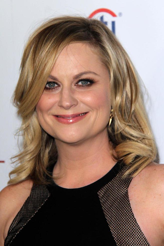LOS ANGELES - MAR 11 - Amy Poehler at the Television Academy s 23rd Hall Of Fame Induction Gala at Beverly Wilshire Hotel on March 11, 2014 in Beverly Hills, CA photo