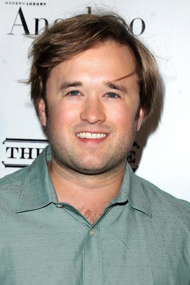 LOS ANGELES - MAY 31 - Haley Joel Osment at the Angeleno Magazine June 2015 Issue Party with Cover Man Adrian Grenier at the The Argyle on May 31, 2015 in Los Angeles, CA photo