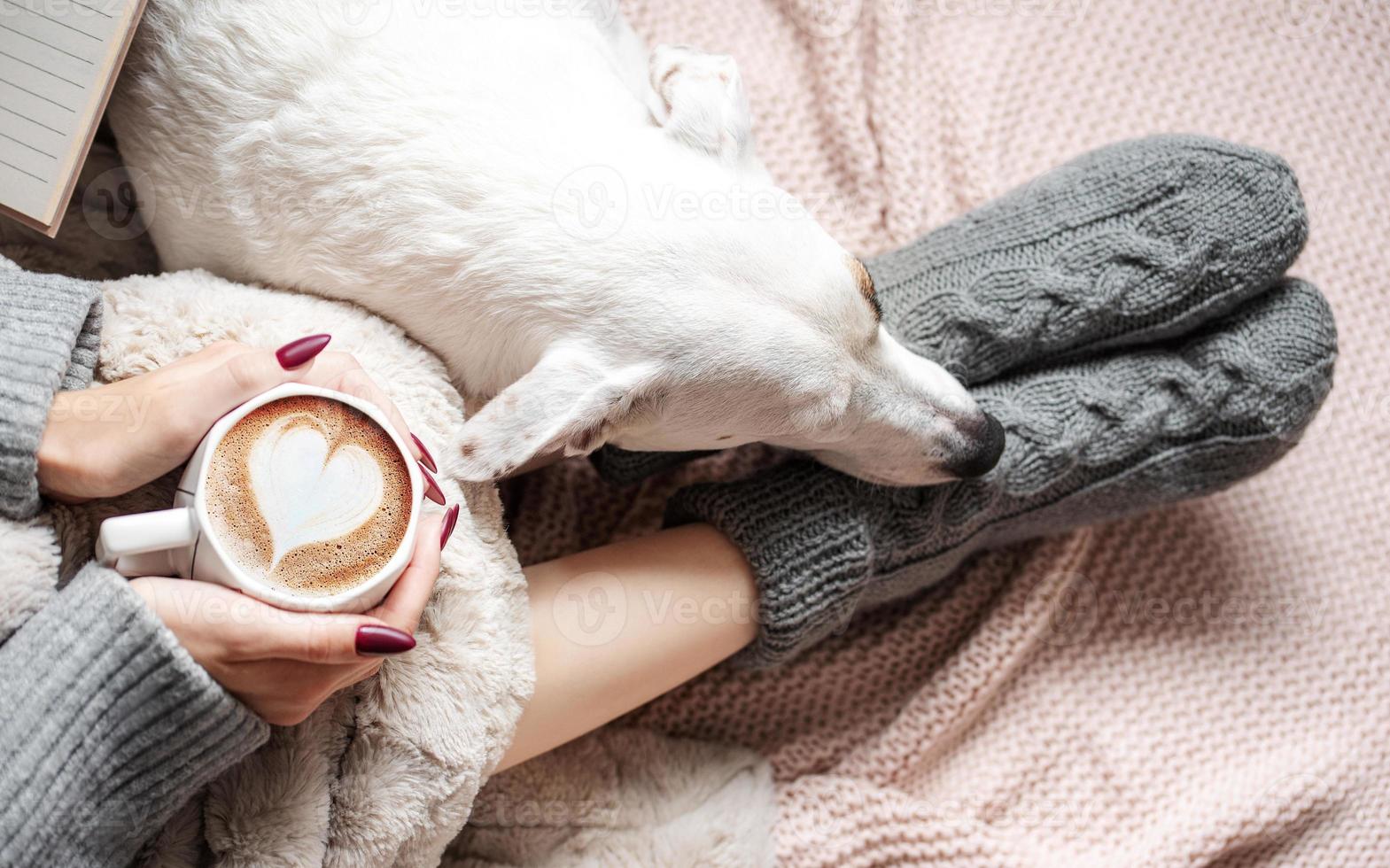 Cozy home, woman covered with warm blanket, drinks coffee,  sleeping dog next to woman. photo