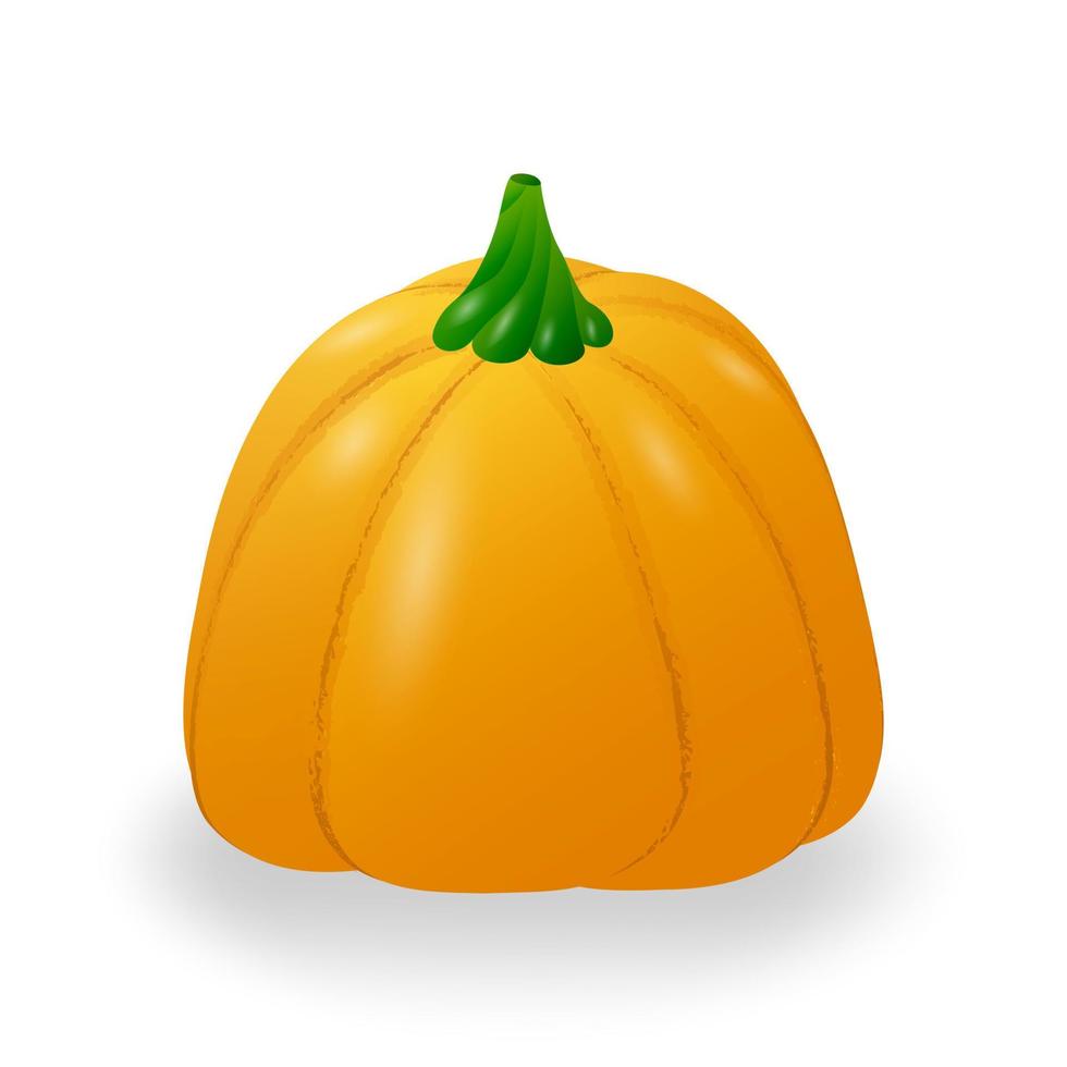 calabaza madura de otoño. Aislado en un fondo blanco. ilustración vectorial vector