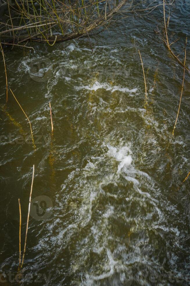 agua corriente en el río foto