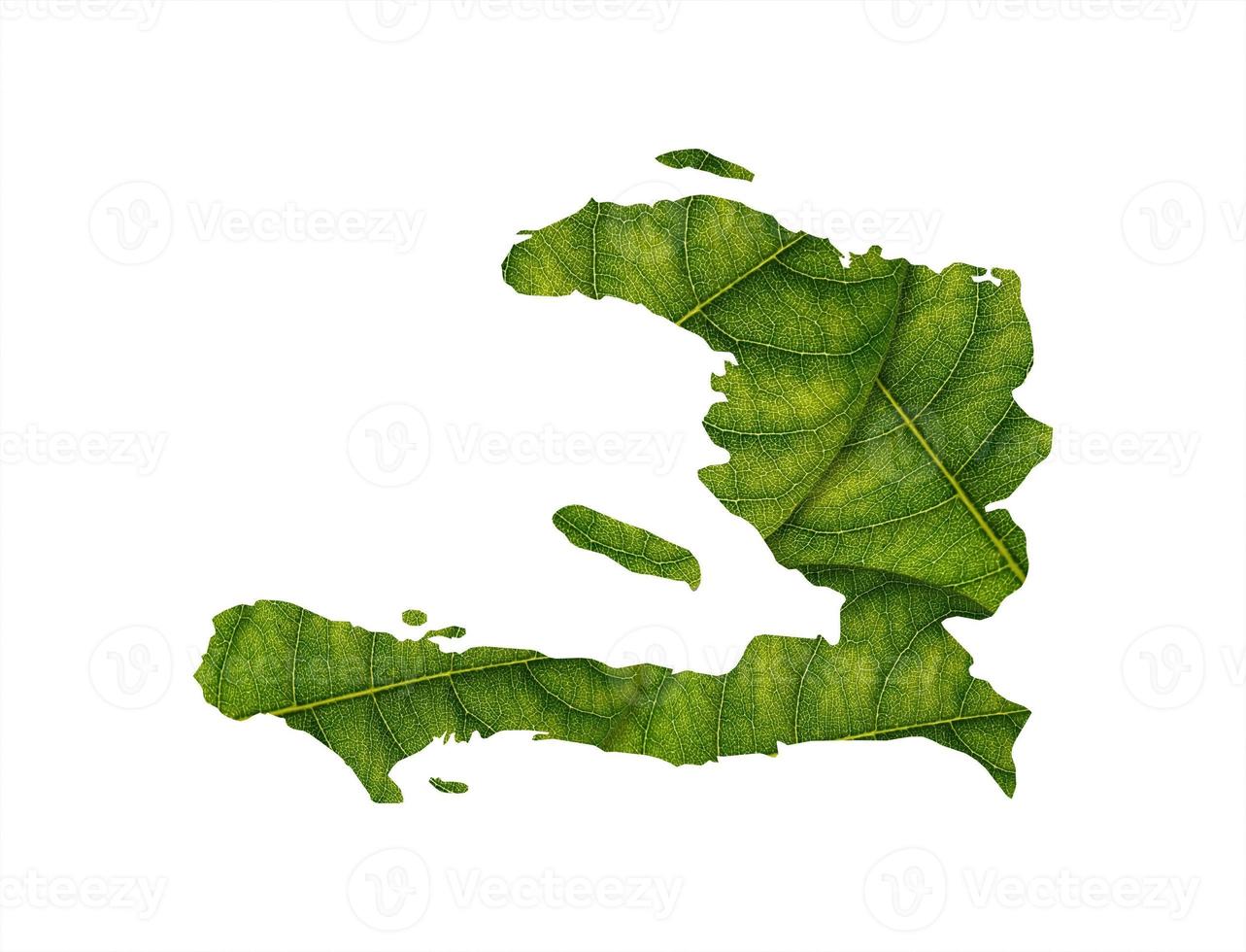 Haiti map made of green leaves on soil background ecology concept photo