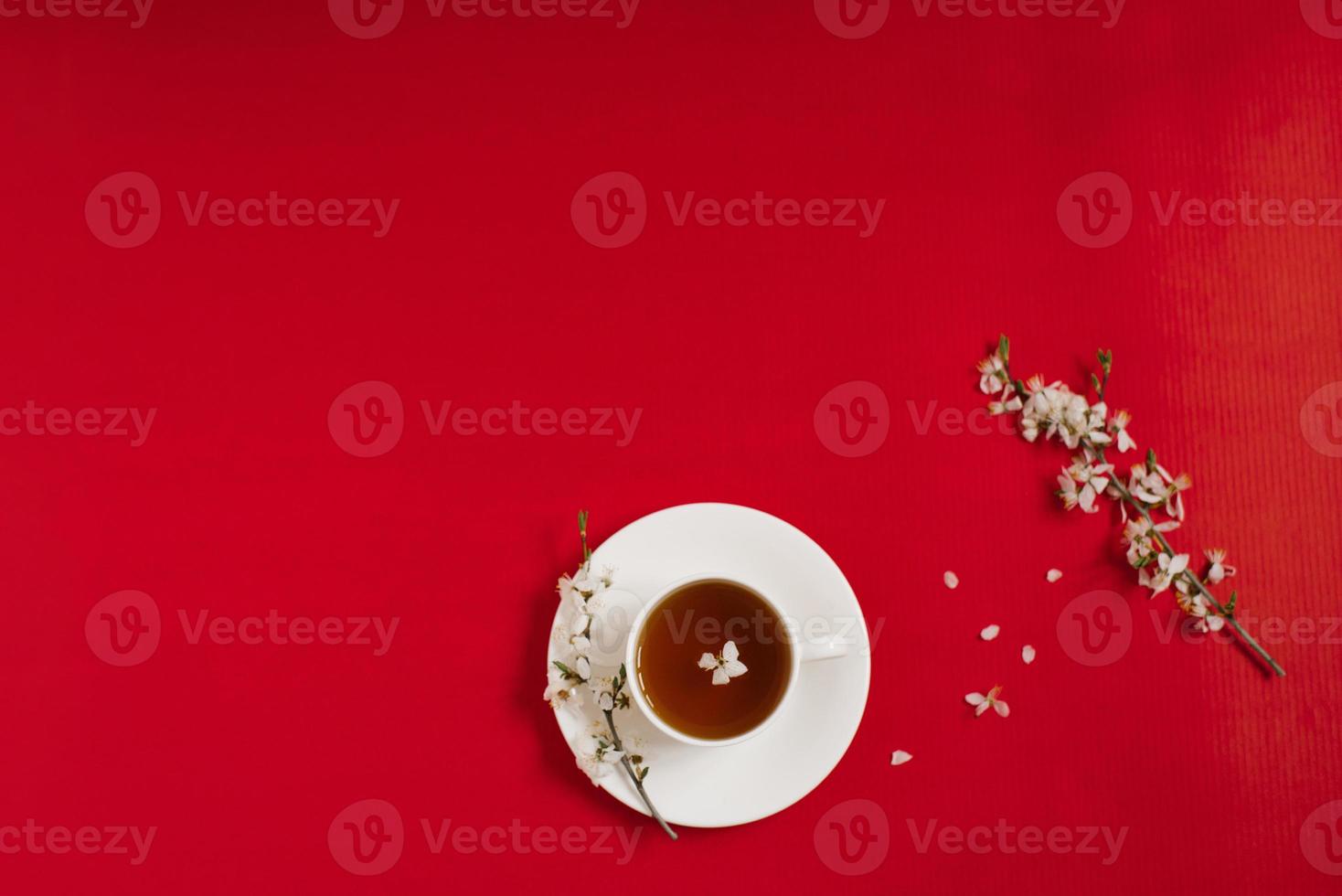 White porcelain cup with black tea. The branches of a blossoming apple tree lie on a red background. Spring and love concept. Copy space photo