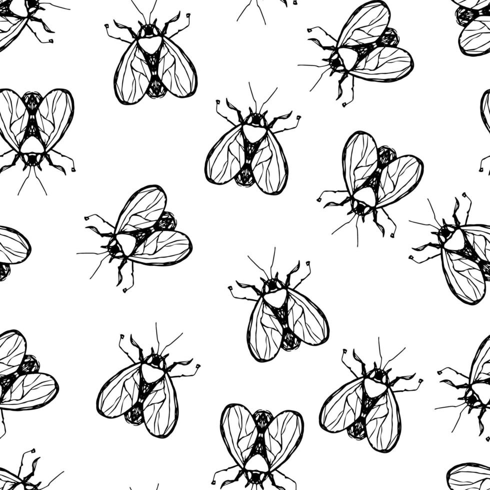 fondo vectorial con ilustraciones dibujadas a mano de insectos. dibujo polilla escarabajo mosca. patrón entomológico sin fisuras. vector