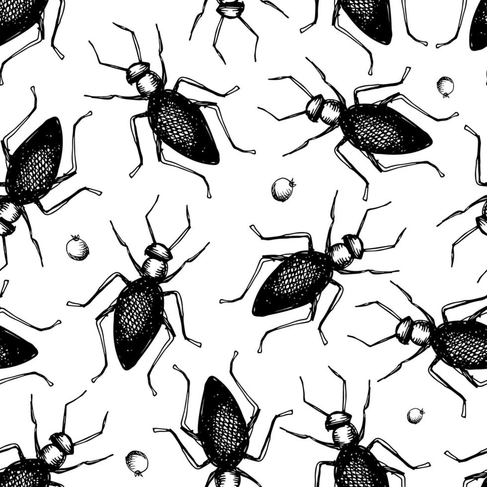 fondo vectorial con ilustraciones dibujadas a mano de insectos. dibujo polilla escarabajo mosca. patrón entomológico sin fisuras. vector