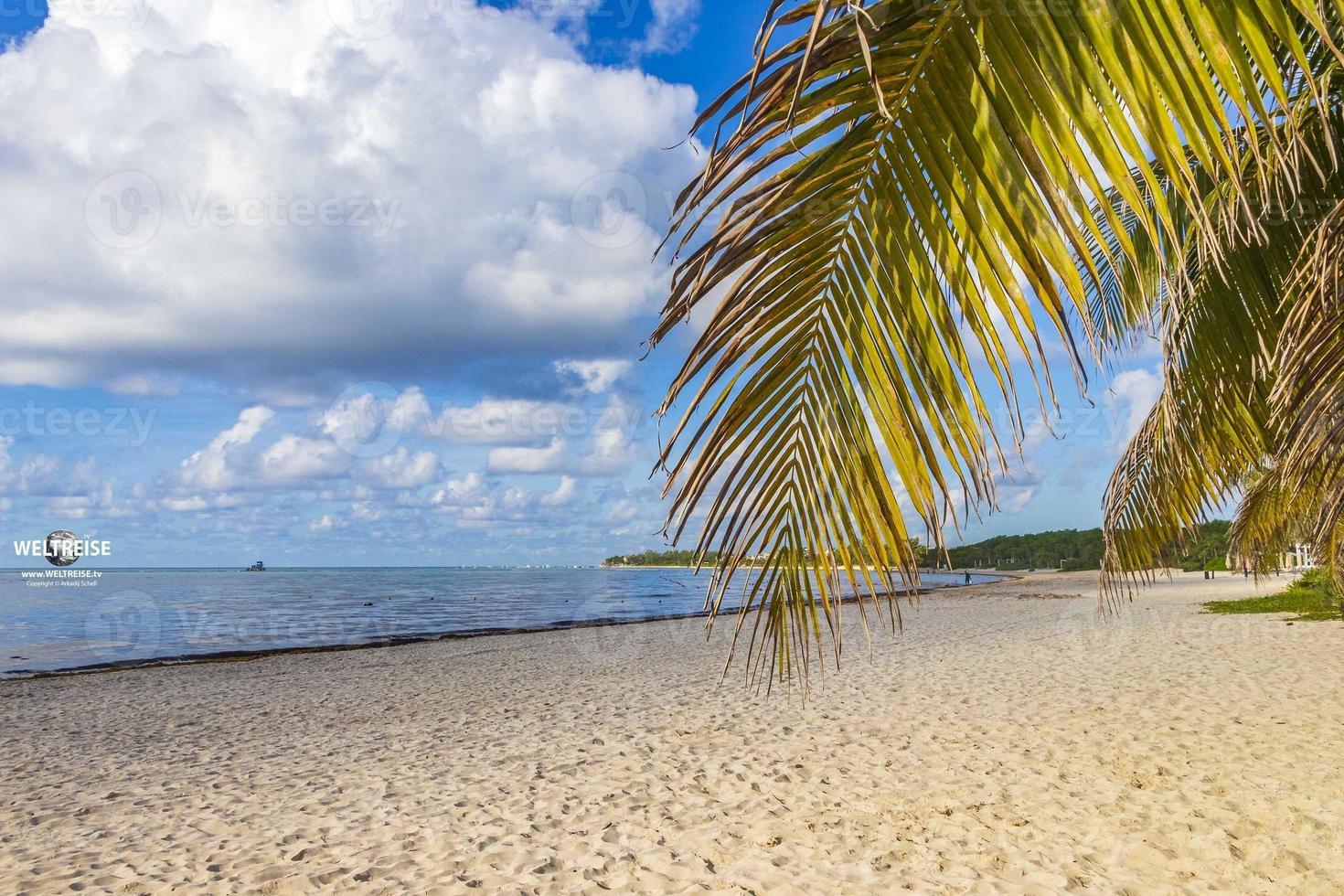 Tropical beach turquoise water palm trees Playa del Carmen Mexico. photo