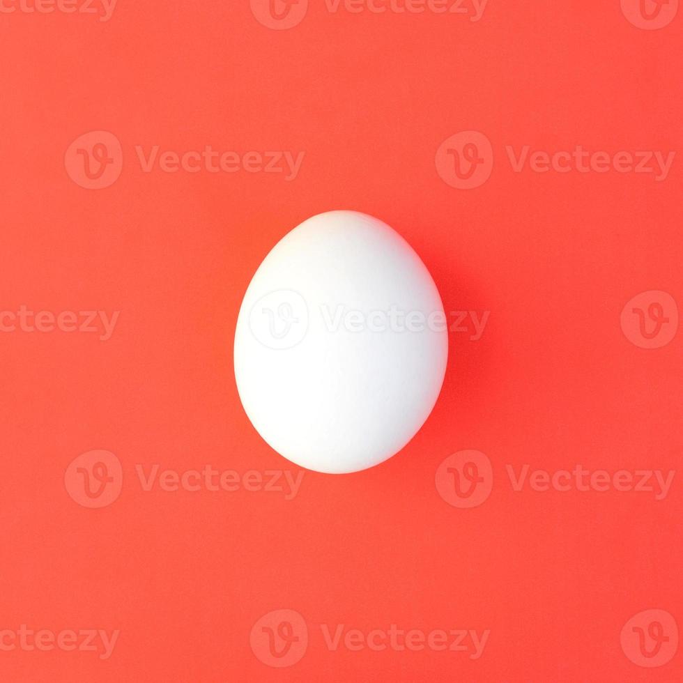 One white egg on a bright red background photo