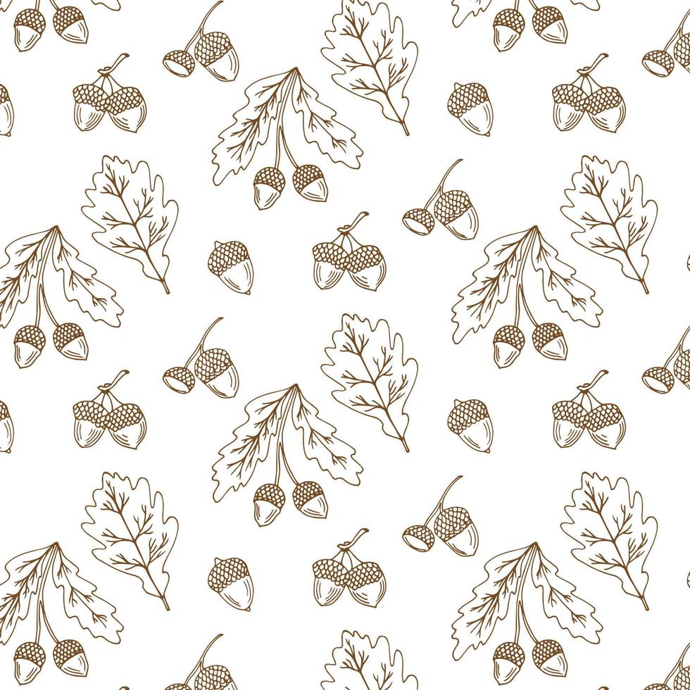 hojas secas de roble y bellotas. patrón transparente dibujado a mano. colección de otoño. ilustración vectorial vector