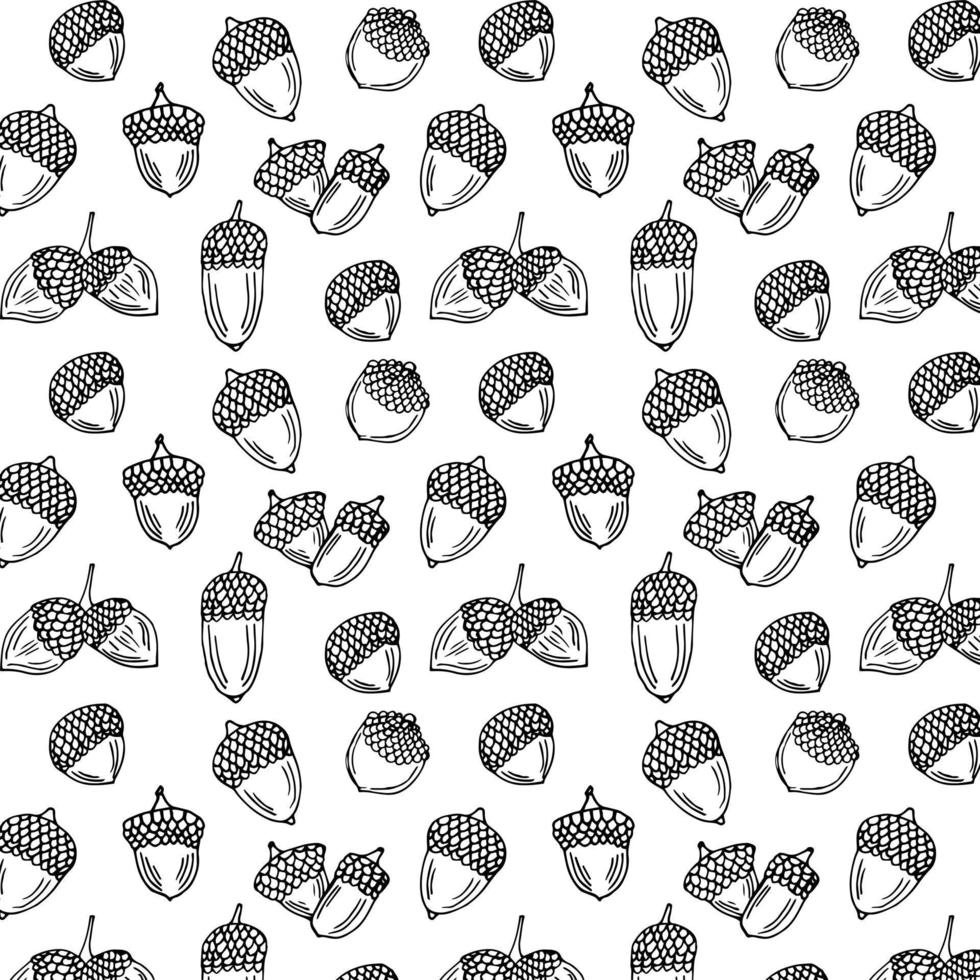 Acorns pattern background. Collection of acorn icons. Vector