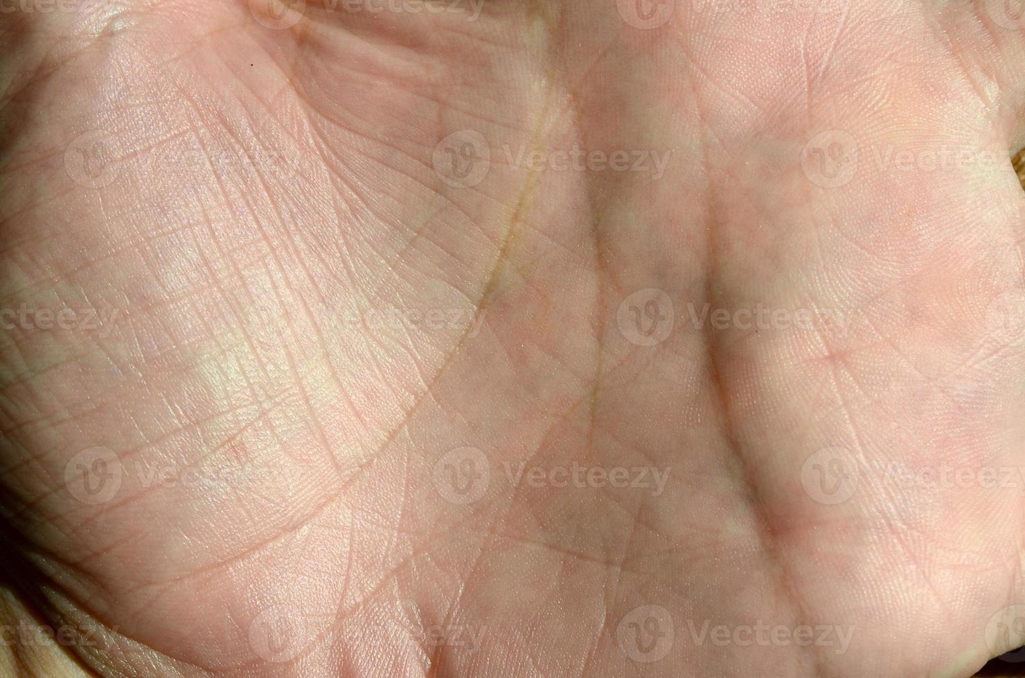 Close up of human hand skin with visible skin texture and lines photo