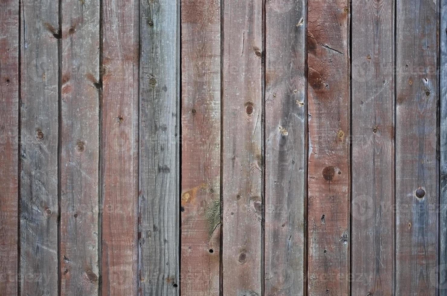 Wooden wall texture photo
