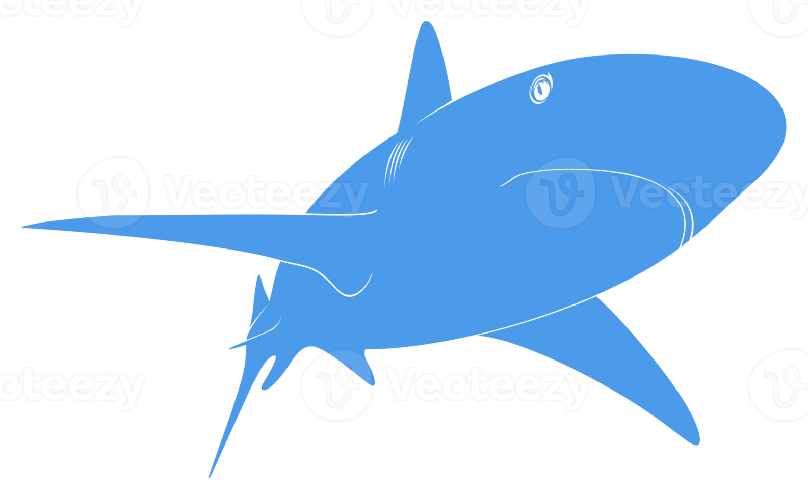 Shark Silhouette for Logo, Pictogram, Website, Art Illustration, Infographic, or Graphic Design Element. Format PNG