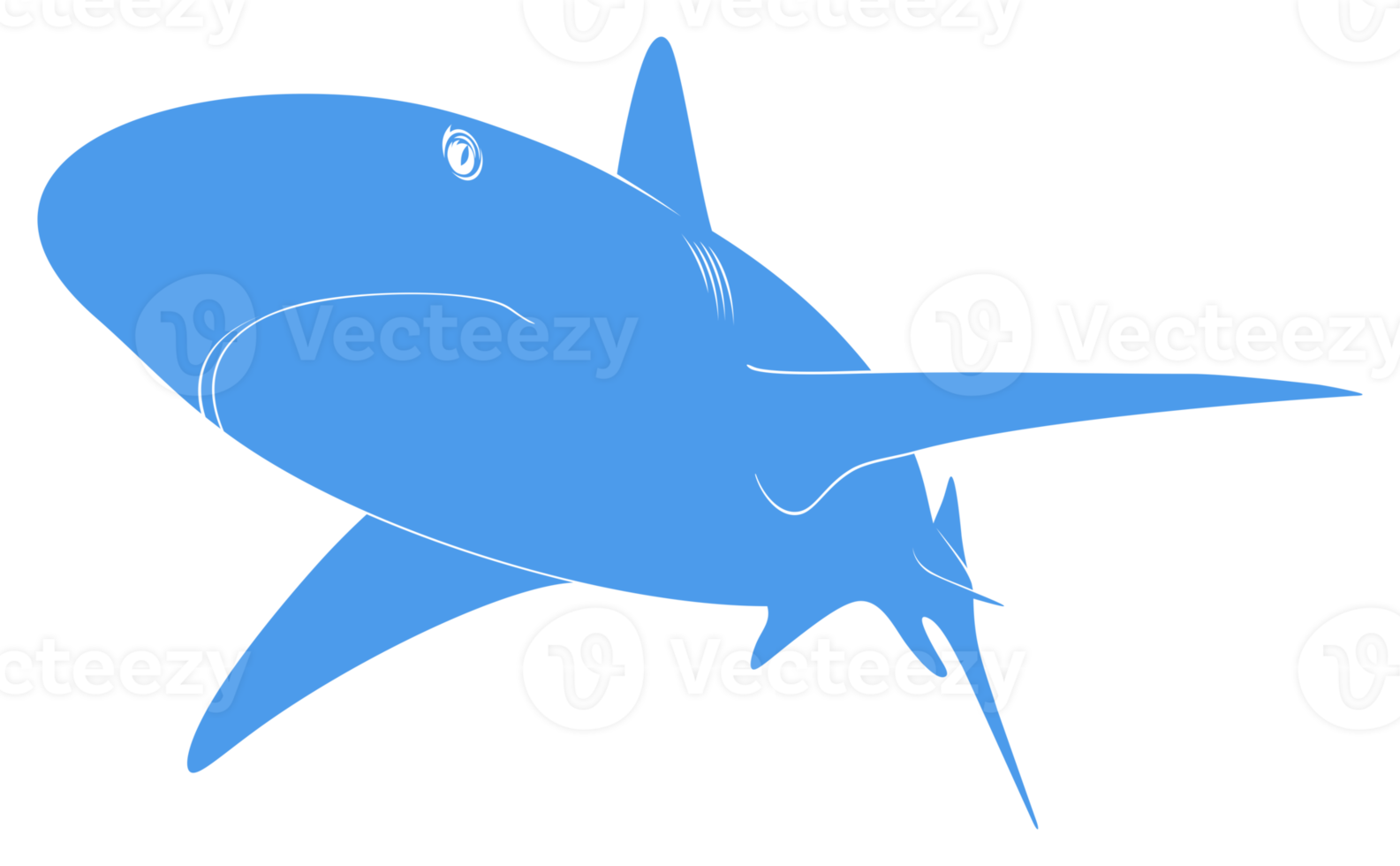 Shark Silhouette for Logo, Pictogram, Website, Art Illustration, Infographic, or Graphic Design Element. Format PNG