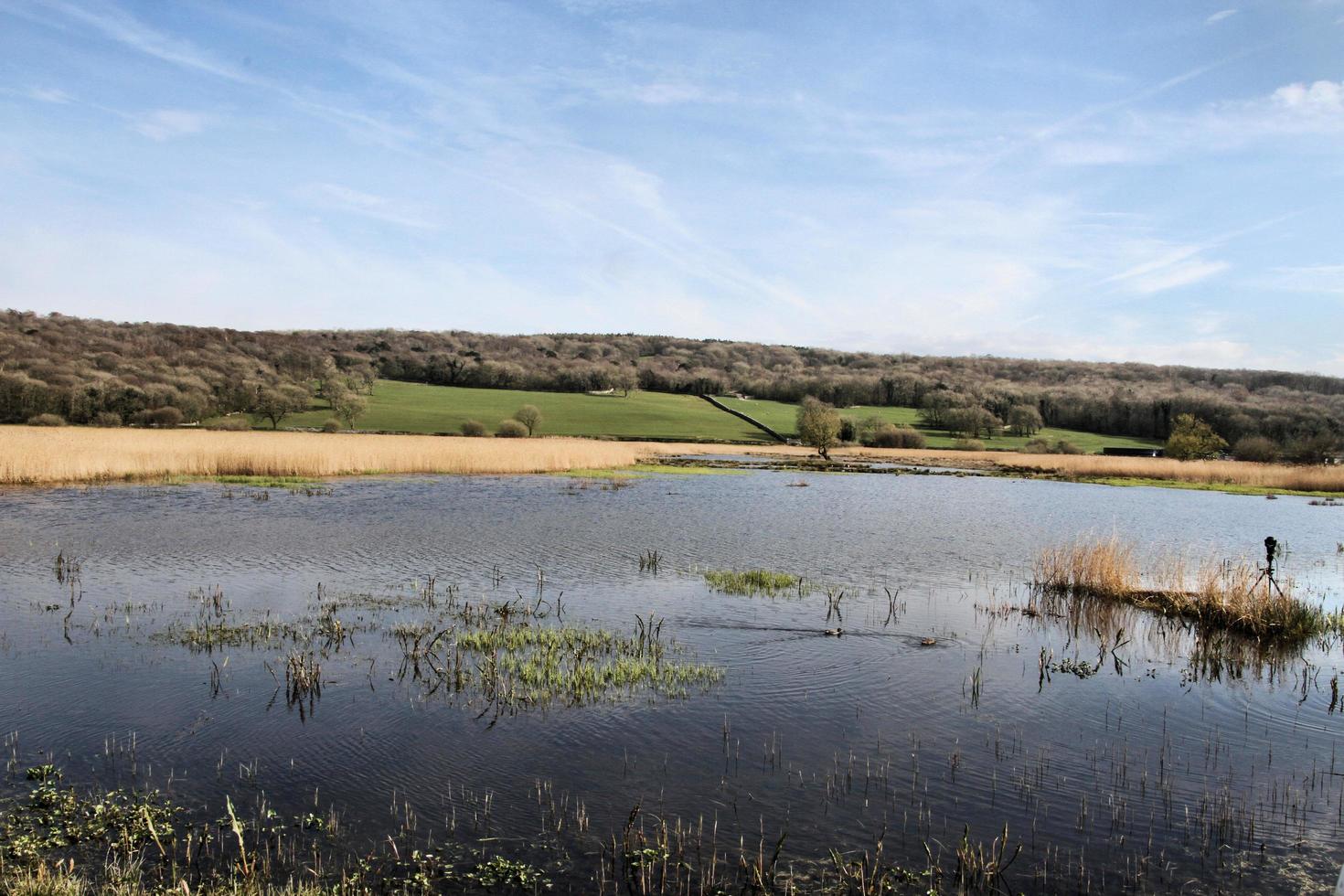 A view of Leighton Moss Nature Reserve photo