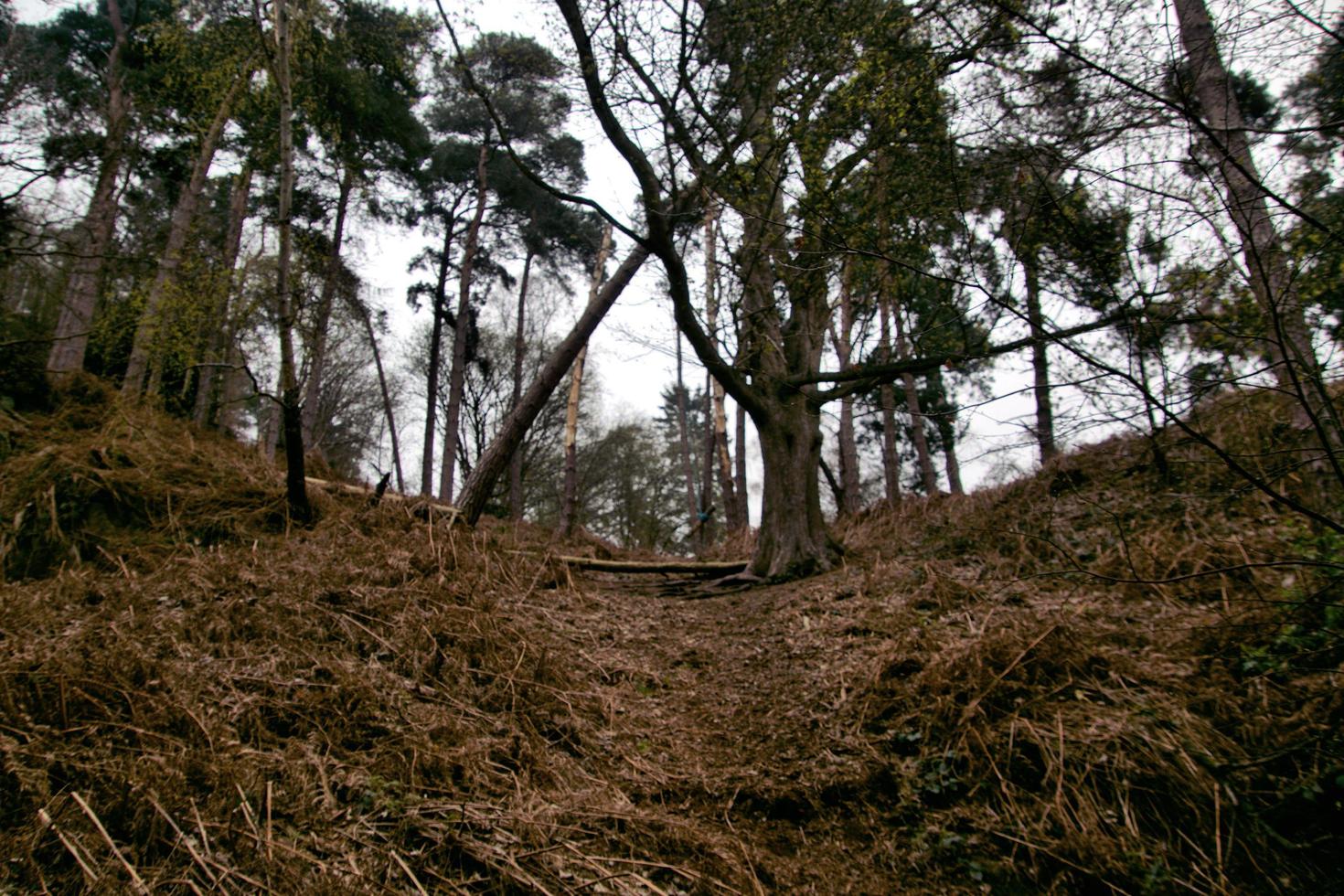 A view of the Shropshire countryside at Grinshill photo