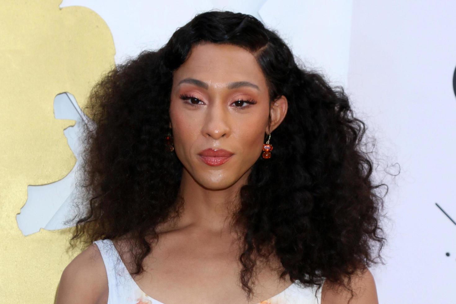 LOS ANGELES - MAR 24  MJ Rodriguez at the ESSENCE 15th Anniversary Black Women In Hollywood Awards at Beverly Wilshire Hotel on March 24, 2022 in Beverly Hills, CA photo