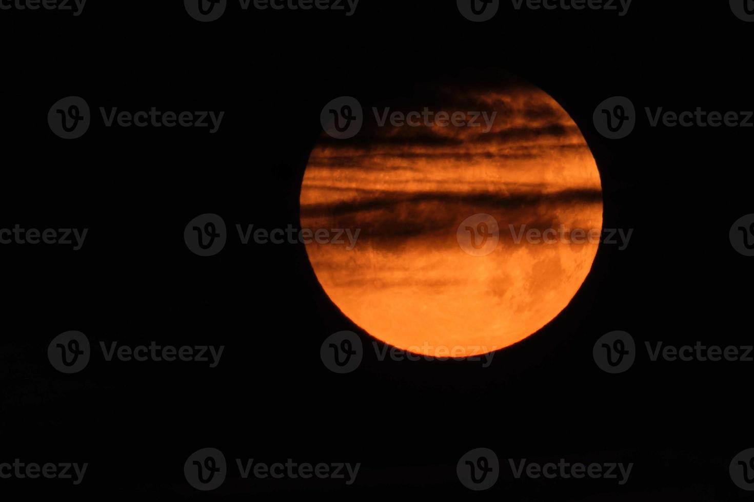 Flower blood full moon in May shortly before the lunar eclipse with red color photo