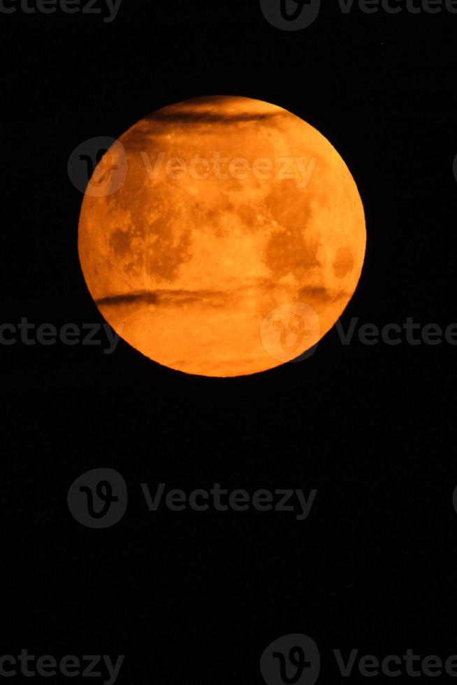 Flower blood full moon in May shortly before the lunar eclipse with red color and passing clouds photo
