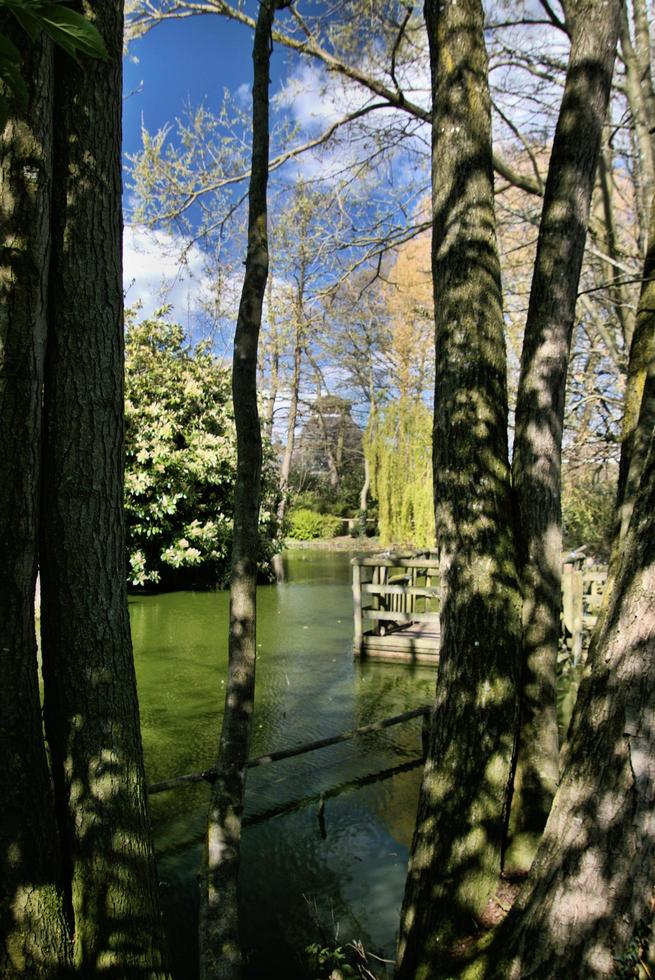 Chester in the UK in May 2022. A view of Chester Zoo photo