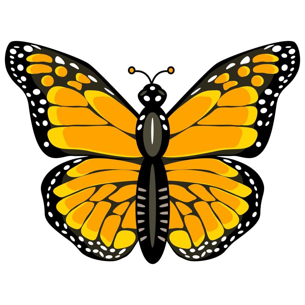 Monarch butterfly in flat technique vector