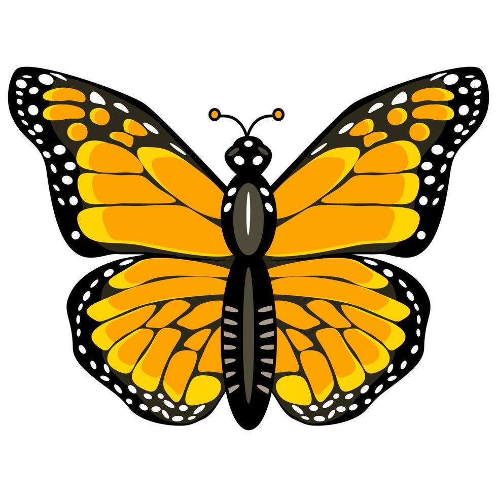 Monarch butterfly in flat technique vector