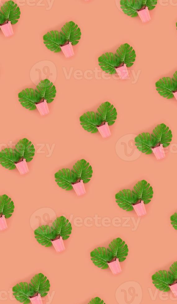 Tropical palm monstera leaves lies in a pastel pails on a colored background. Flat lay trendy minimal pattern. Top view photo