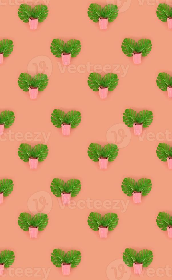 Tropical palm monstera leaves lies in a pastel pails on a colored background. Flat lay trendy minimal pattern. Top view photo