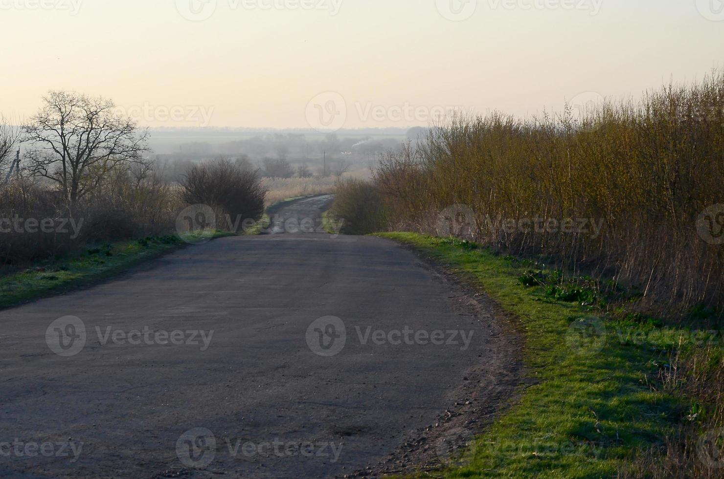 Dawn in the village. Asphalt road, leaving far into the distance among the fields photo