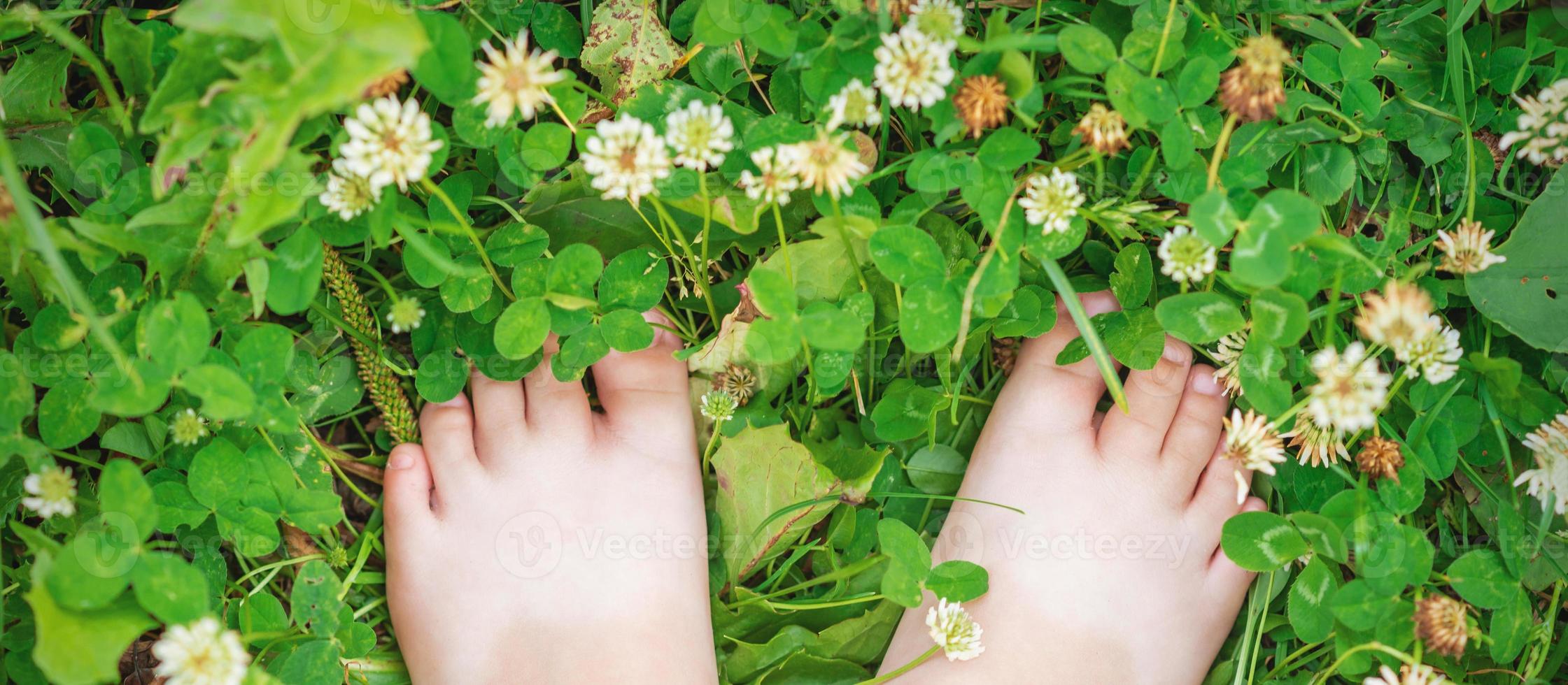 pies de bebé descalzos sobre hierba verde foto