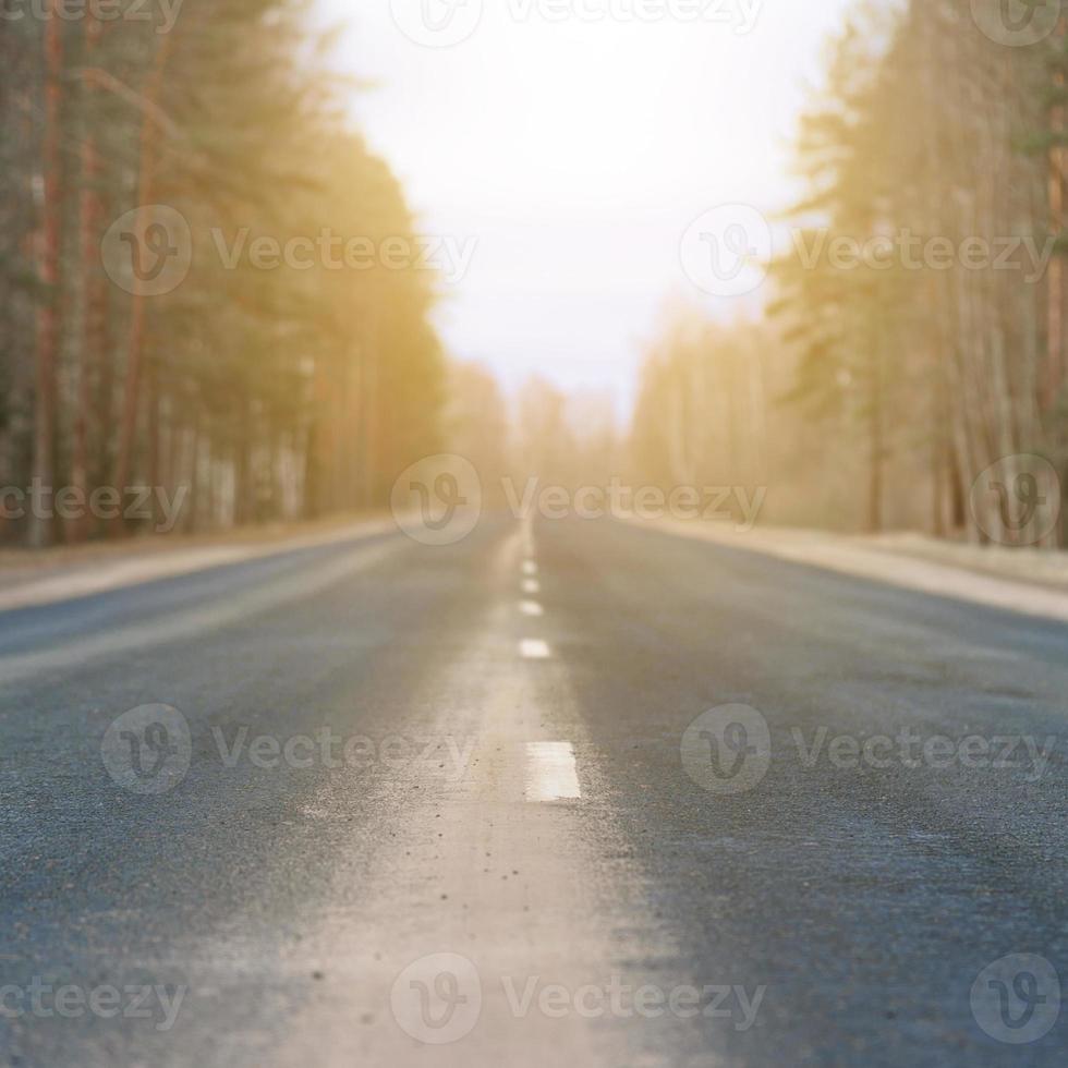 Highway with its white dividing strip lit by bright sunlight close up. The forest background in blur. photo