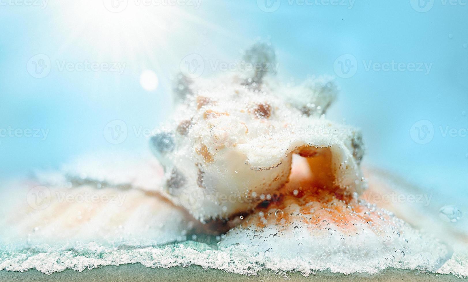 Close up sand with blurred sea sky background, summer day. Shell close-up. photo