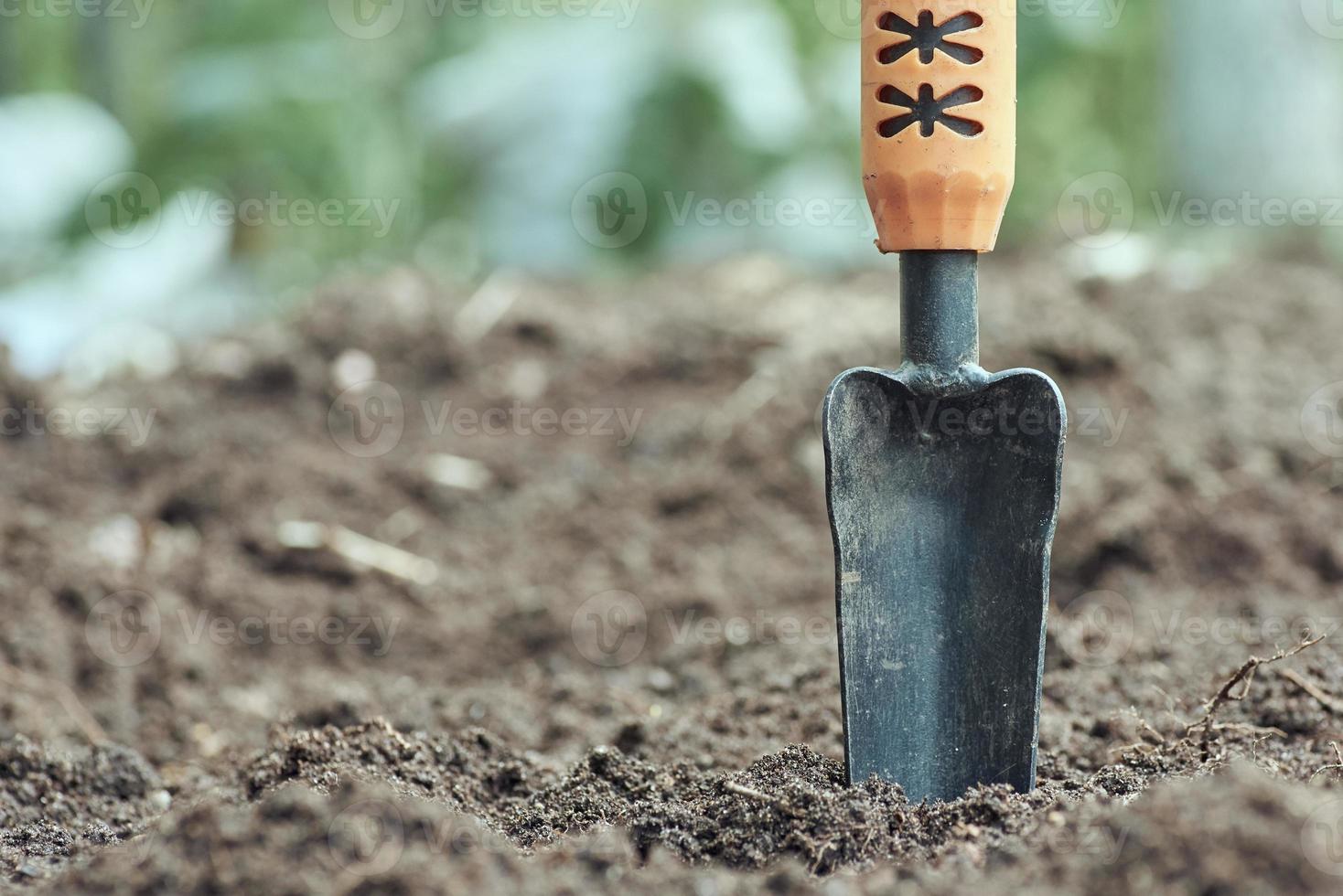 Garden trowel on the ground against the background of soil and green leaves in blur. photo