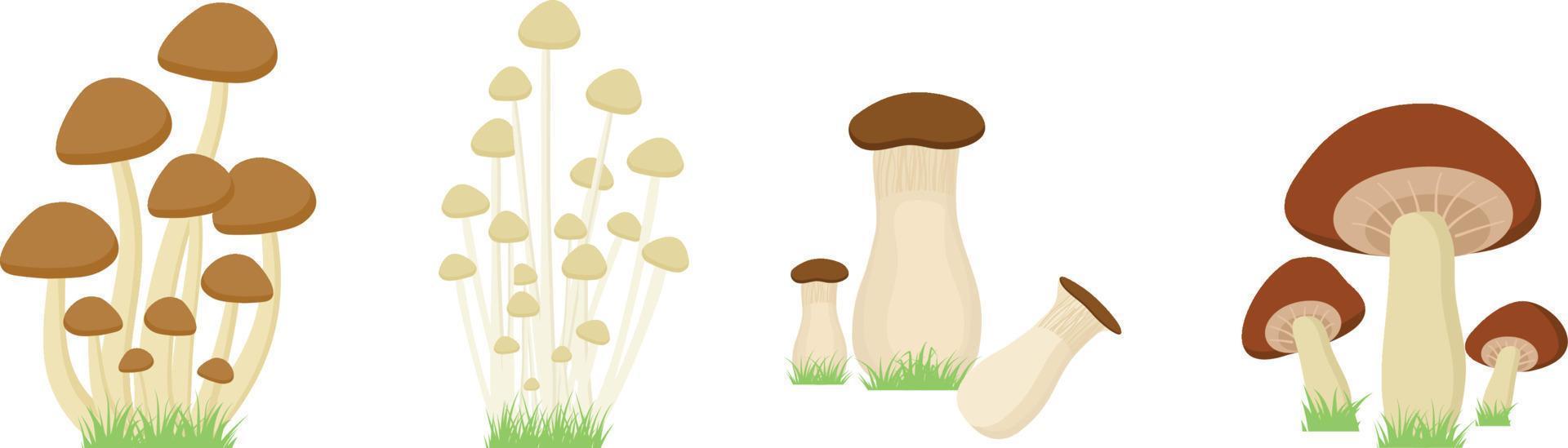 conjunto de hongos con hierba sobre fondo blanco. vector