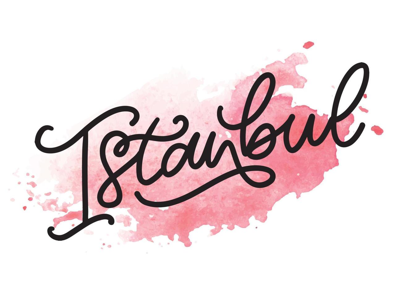 Estanbul. letras a mano. logotipo vectorial de estambul en color negro con gaviotas sobre fondo blanco. productos de recuerdo, emblema de pancarta, blog de viajes en redes sociales, folleto, volante. ilustración digital. vector