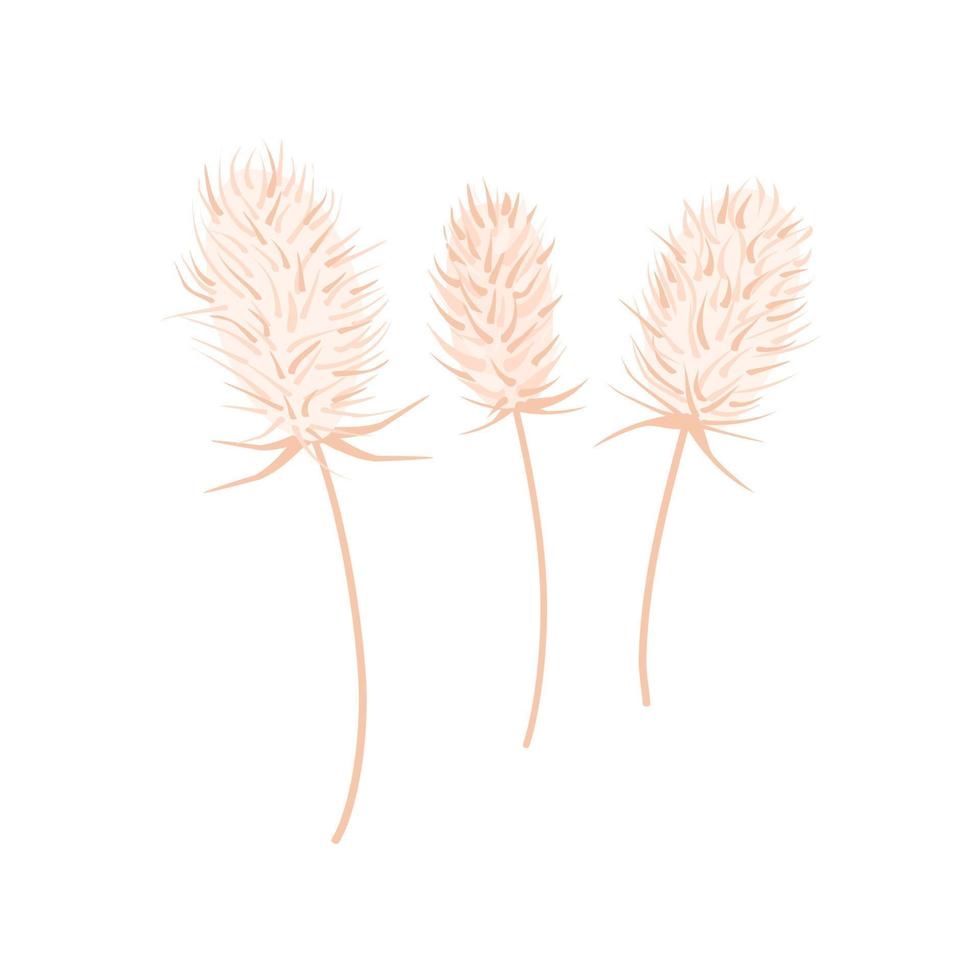 Dry thistle on a white background. For design of postcards, invitations to the wedding. Hand drawn vector background