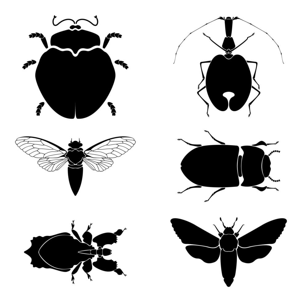 Vector illustration with insect silhouettes isolated on white background. Garden insect vector silhouette collection. Set of silhouettes of insects.