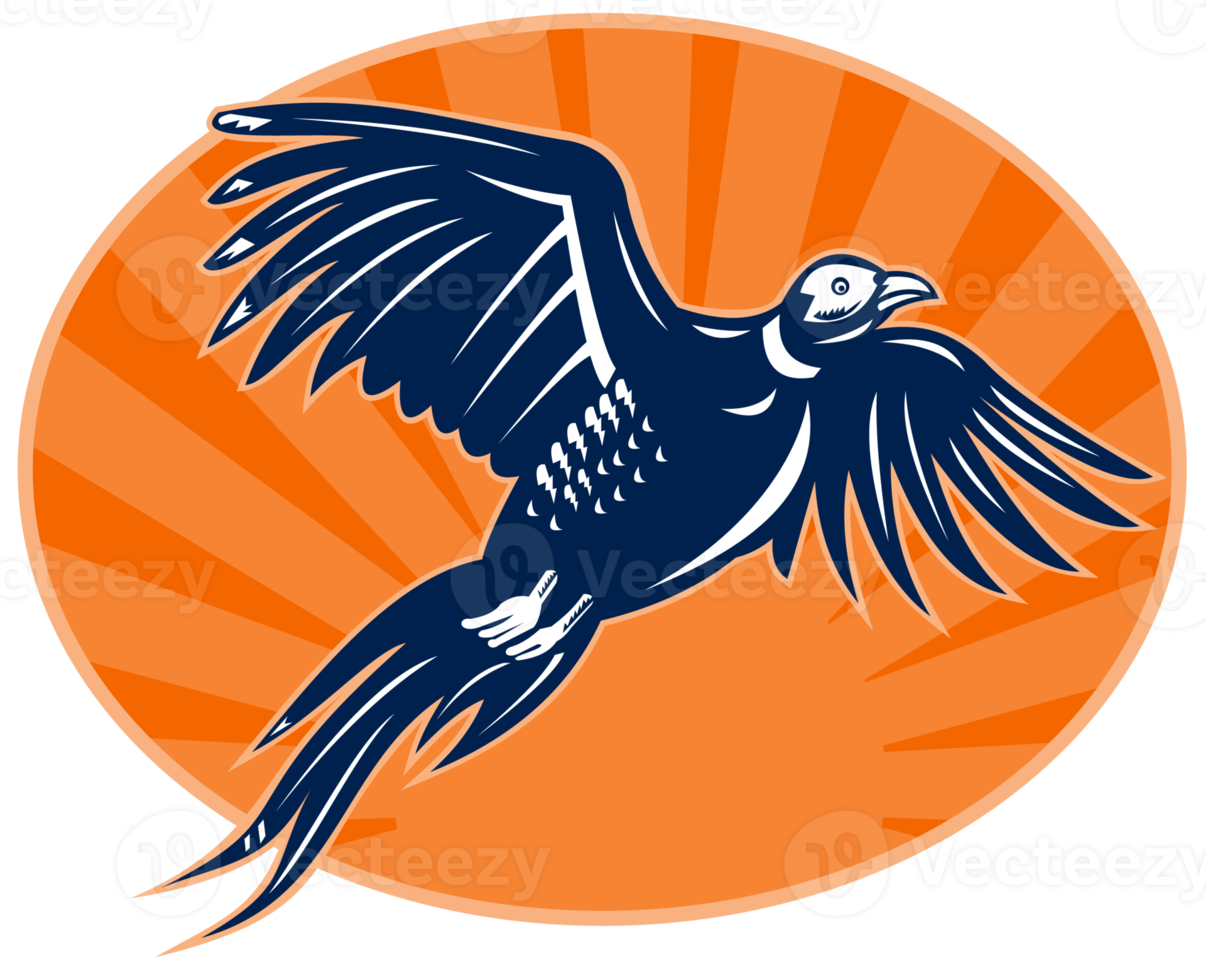 oiseau faisan volant avec sunburst png